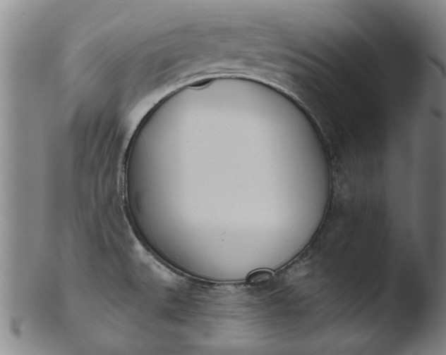 X0000103421527200809261655