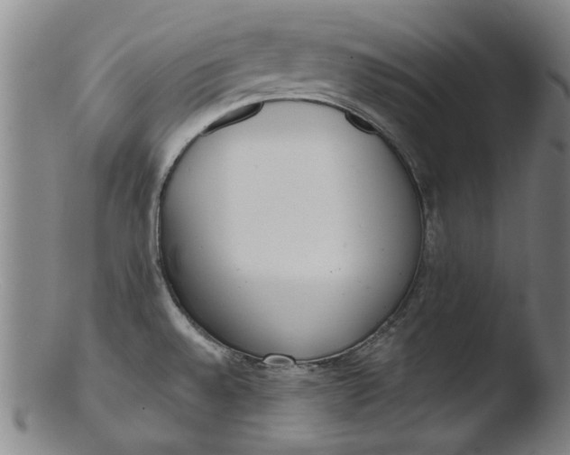 X0000103421528200809261655