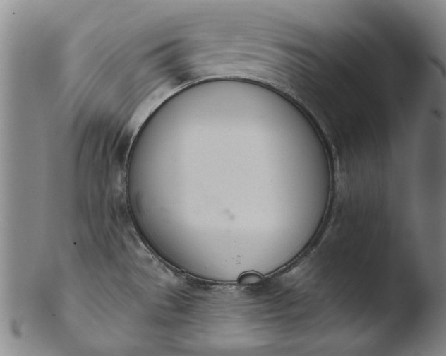X0000103421529200809261655