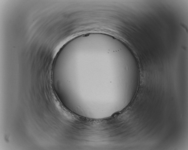 X0000103421530200809261655