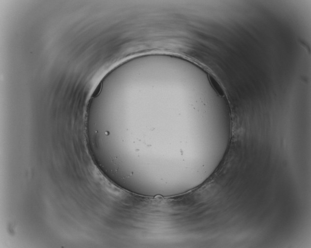 X0000103421532200809261655