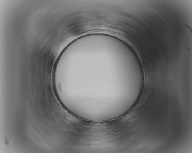 X0000103421533200809261655