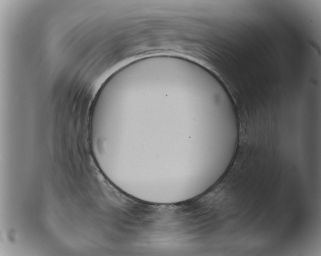 X0000103421534200809261655