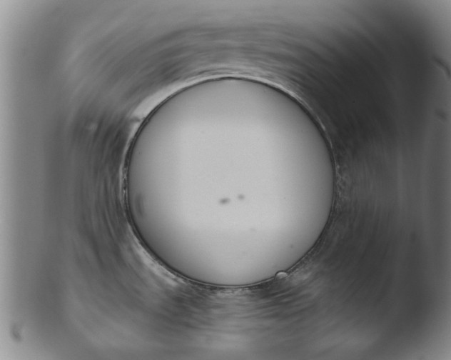 X0000103421535200809261655