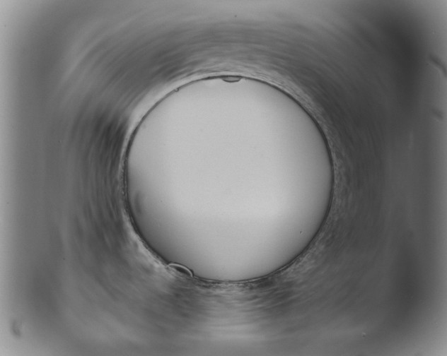 X0000103421536200809261655