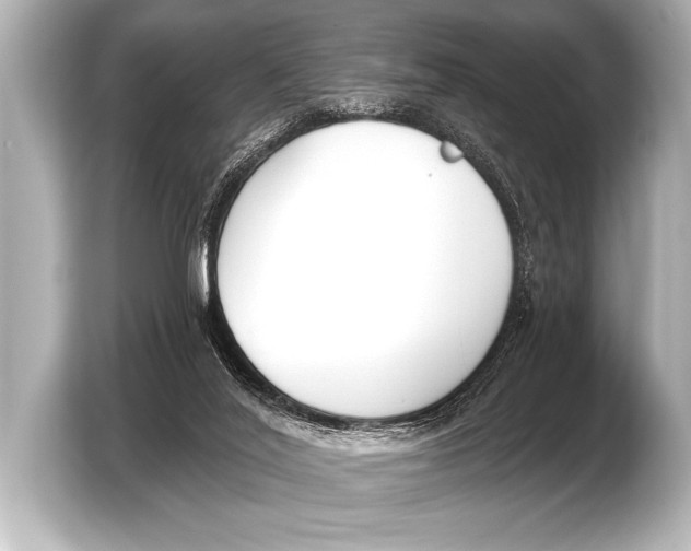 X0000103420020200810031340