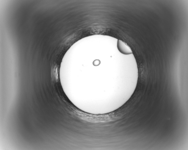 X0000103420042200810031339