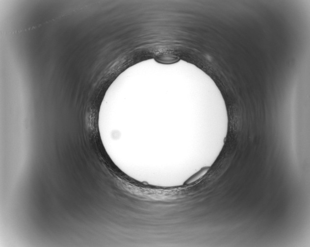 X0000103420044200810031339