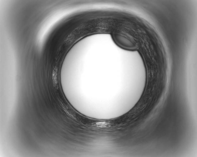 X0000103420050200810031339
