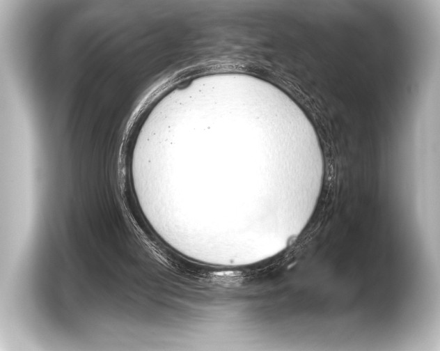 X0000103420053200810031339