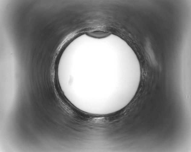 X0000103420054200810031339