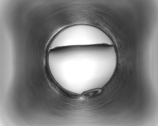 X0000103420060200810031339