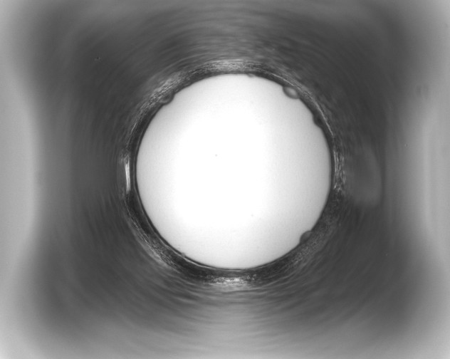 X0000103420061200810031339