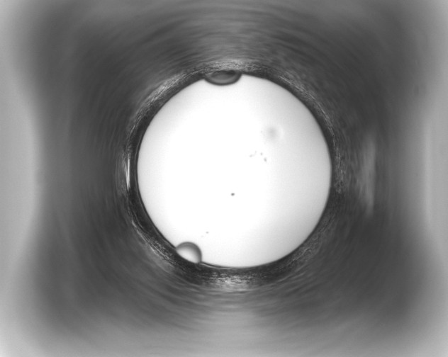 X0000103420062200810031339