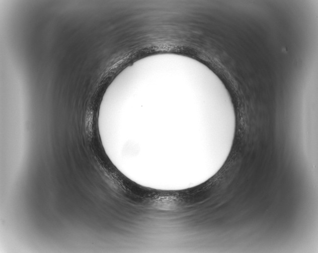 X0000103420066200810031339