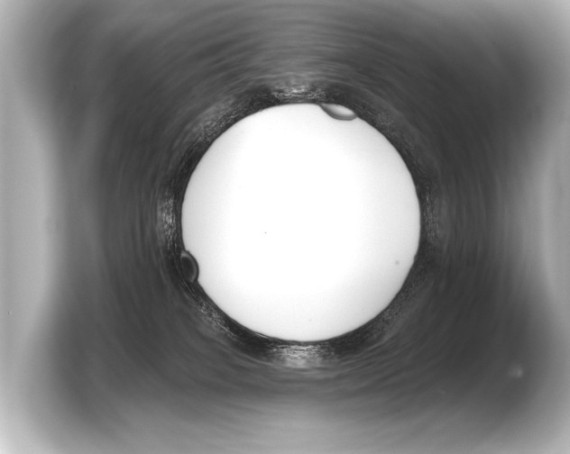 X0000103420085200810031339