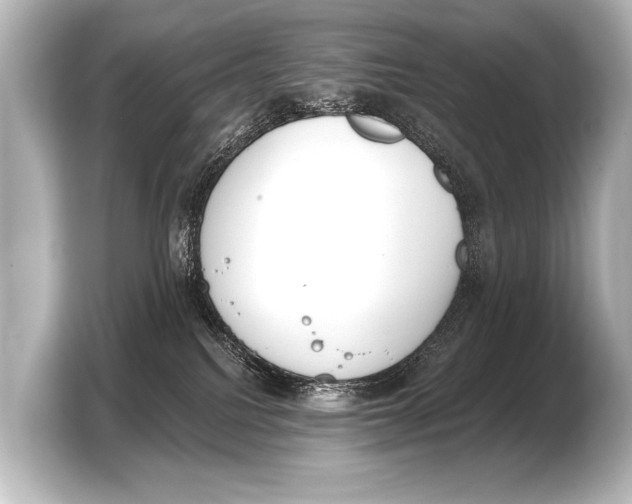 X0000103420088200810031339