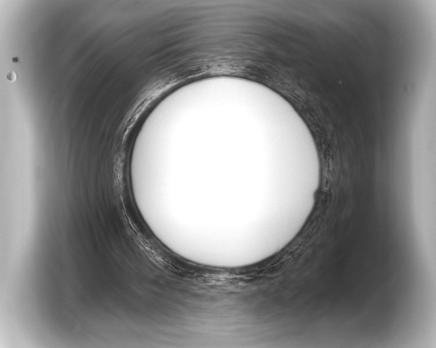 X0000103420098200810031339
