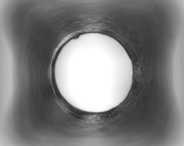 X0000103420100200810031339