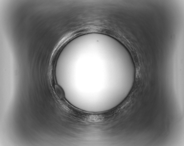 X0000103420101200810031339