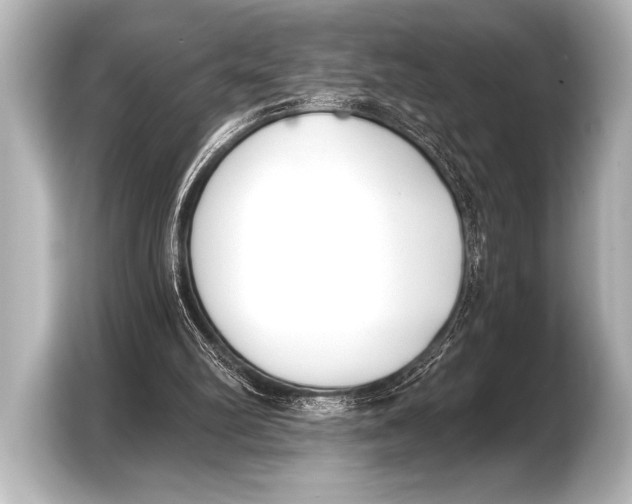X0000103420102200810031339