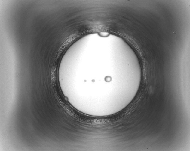 X0000103420105200810031339