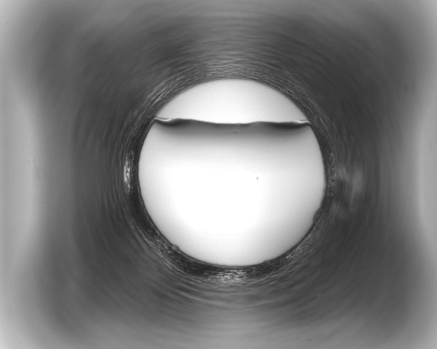 X0000103420124200810031338
