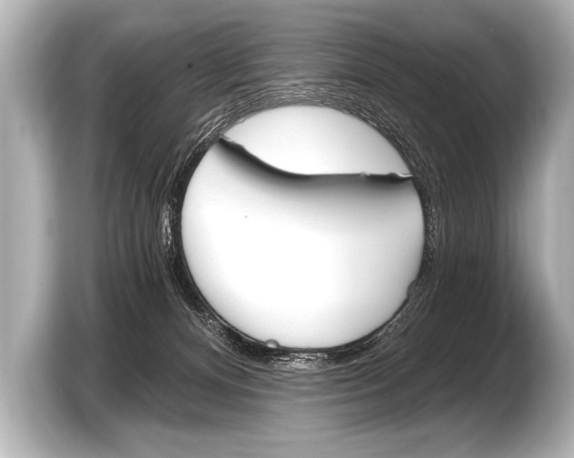 X0000103420128200810031338