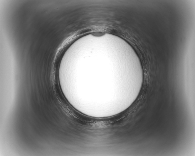 X0000103420149200810031338