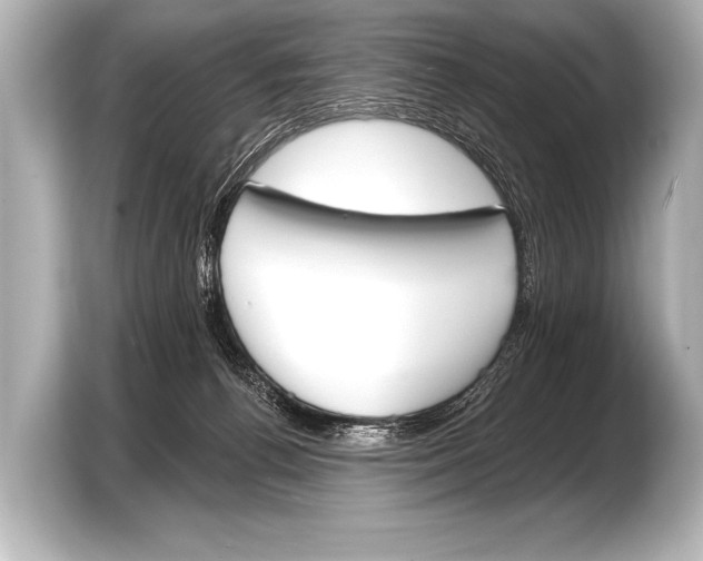 X0000103420176200810031338