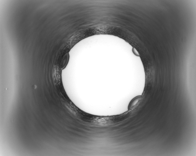 X0000103420186200810031338