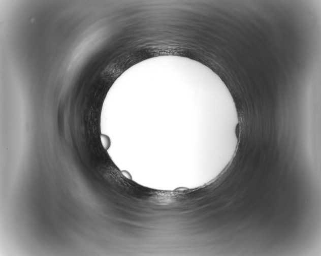 X0000103420190200810031338
