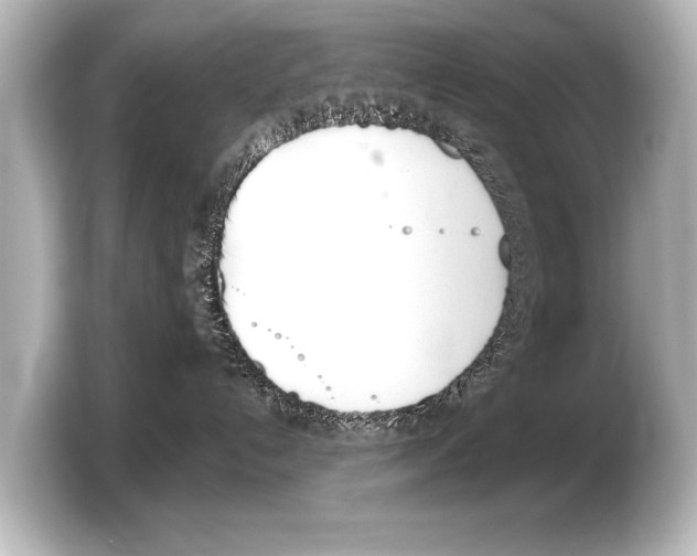 X0000103420192200810031338