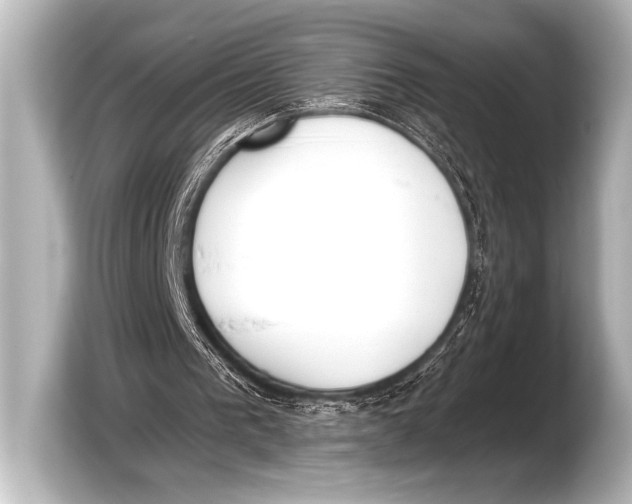 X0000103420193200810031337
