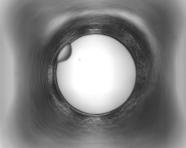 X0000103420194200810031337