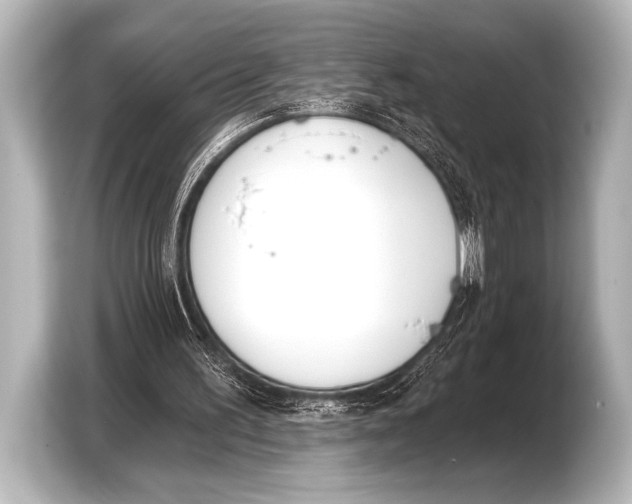 X0000103420195200810031337