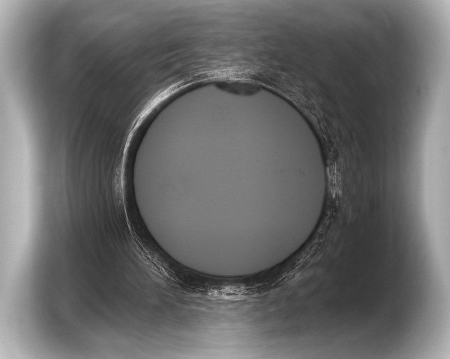 X0000103420196200810031337