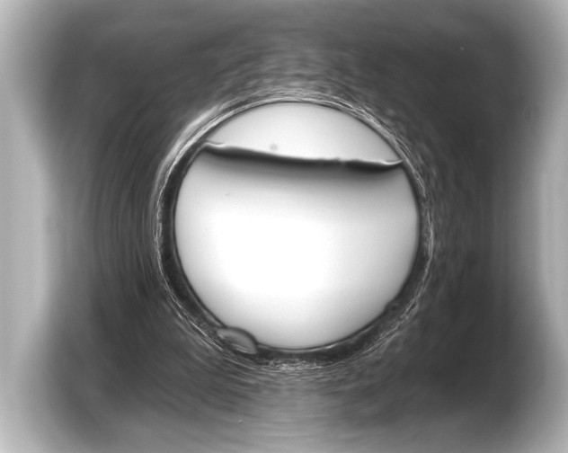 X0000103420199200810031337