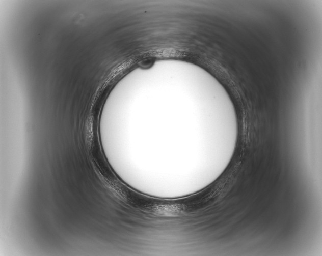 X0000103420202200810031337