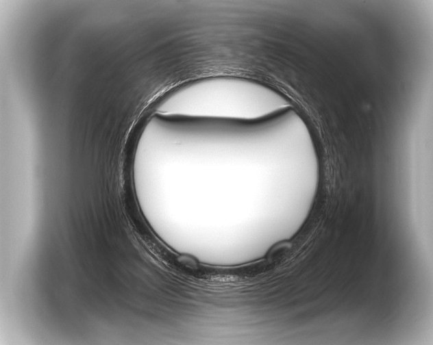 X0000103420203200810031337