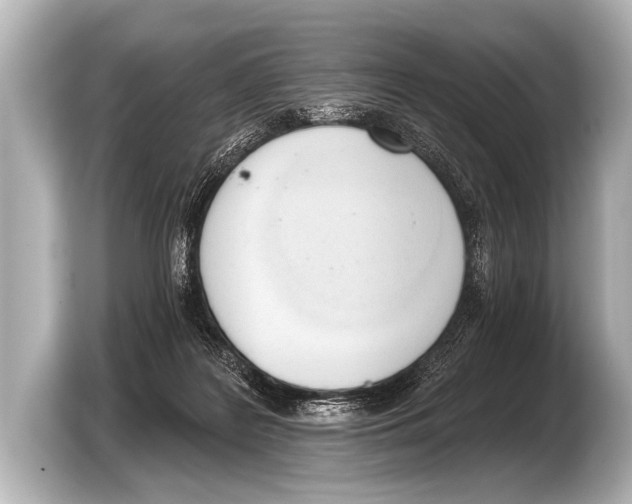 X0000103420219200810031337