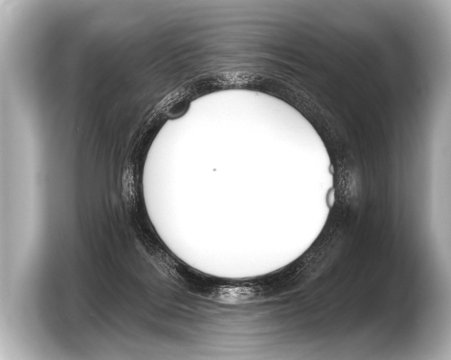 X0000103420220200810031337