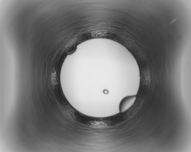 X0000103420224200810031337