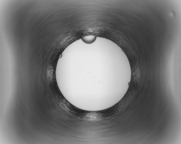X0000103420231200810031337