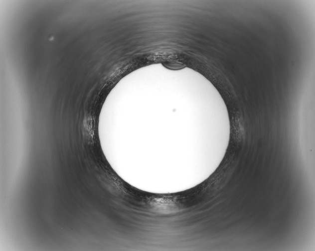 X0000103420232200810031337