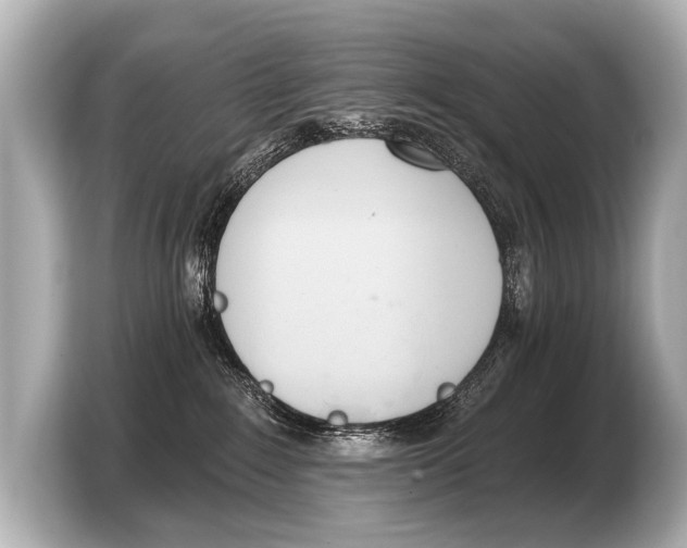 X0000103420235200810031337