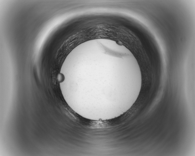 X0000103420239200810031337