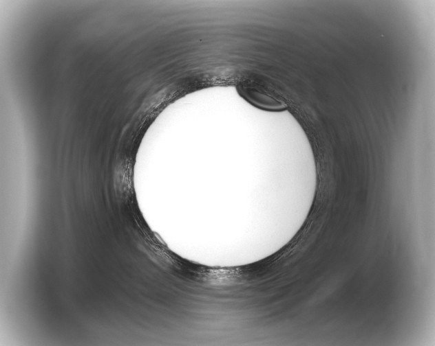 X0000103420240200810031337