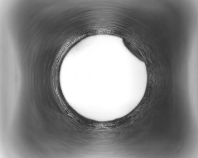 X0000103420241200810031336