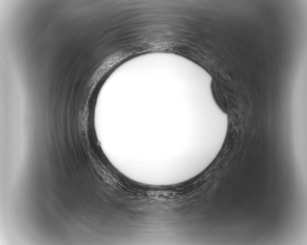 X0000103420242200810031336